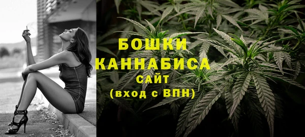 дмт Богородицк