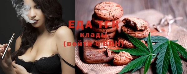 дмт Богородицк
