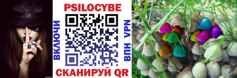 Псилоцибиновые грибы GOLDEN TEACHER где найти Сковородино